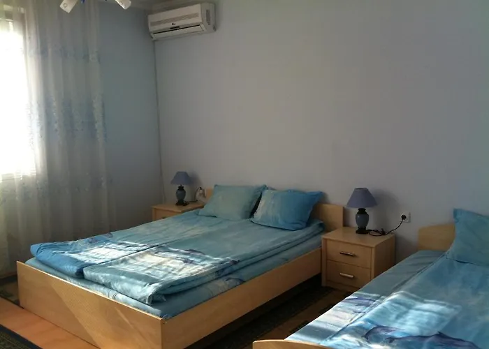 Family Velevi Velingrad